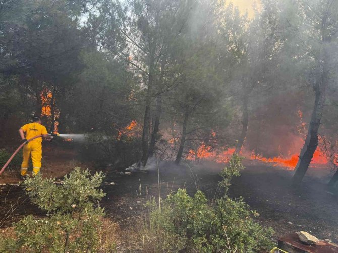 Bergama’daki Orman Yangını Kontrol Altında