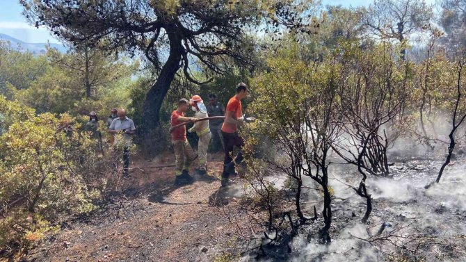 Bergama’daki Orman Yangını Kontrol Altında