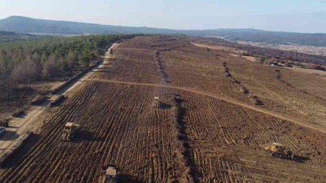 Çanakkale’de Küle Dönen 580 Hektar Alanda, 1 Milyon Fidan Toprakla Buluşturuluyor