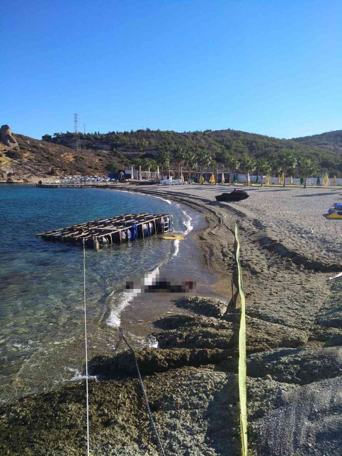Foça’da Sahile Ceset Vurdu
