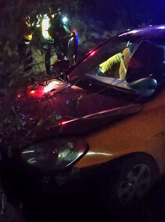 Kontrolden Çıkan Ticari Taksi Ağaca Çarptı: 2’si Ağır 3 Yaralı