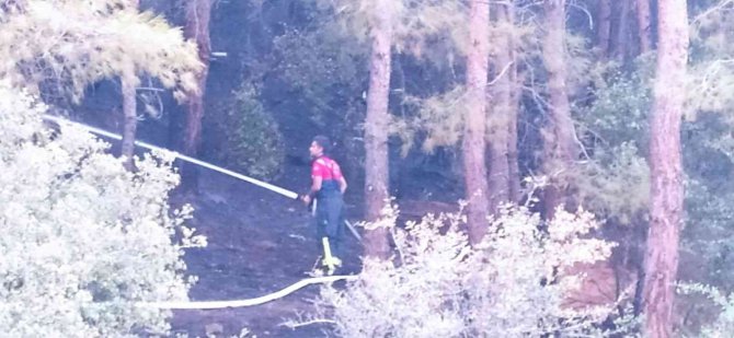 Büyükşehir İtfaiye Ekipleri Marmaris’ten Döndü