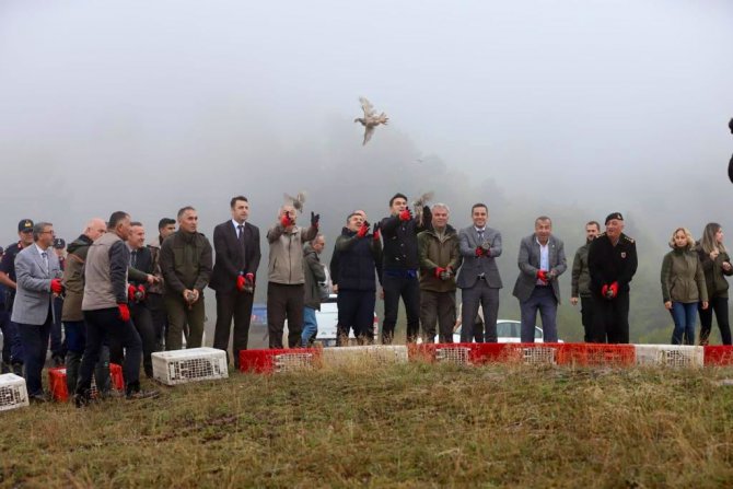 Yüzlerce Keklik Doğaya Salındı