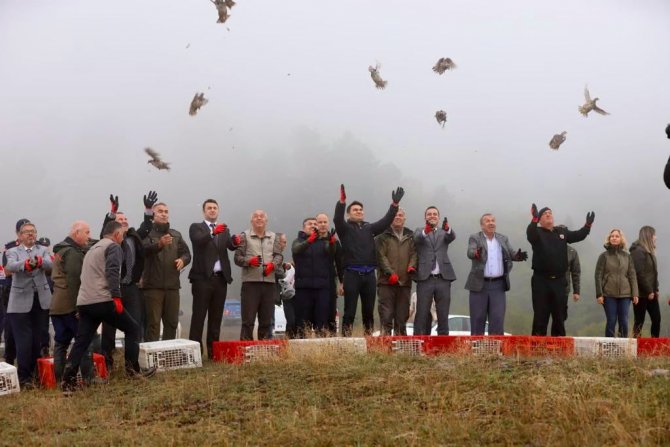 Yüzlerce Keklik Doğaya Salındı