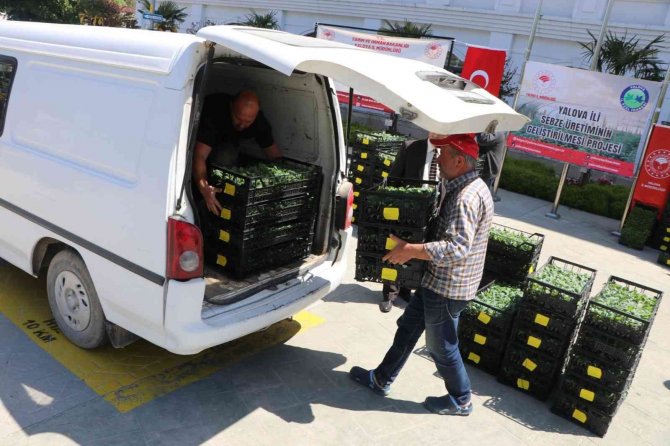 Yalovalı Çiftçilere 6 Milyon Tl’lik Kamu Desteği