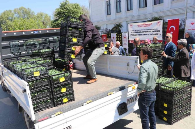 Yalovalı Çiftçilere 6 Milyon Tl’lik Kamu Desteği