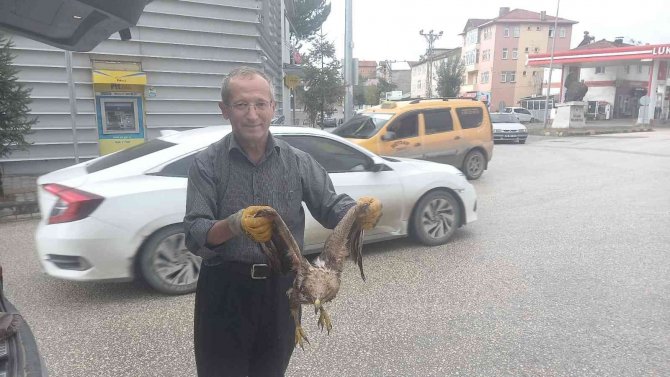 Yaralı Şahin, Yolcu Servisiyle Dkmp Ekiplerine Gönderildi