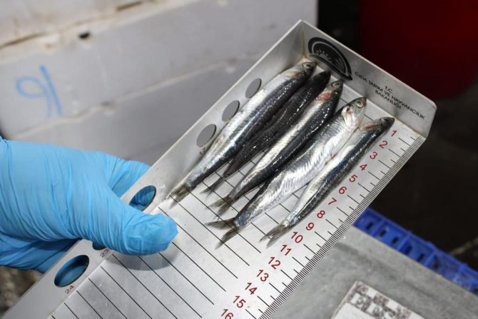 Kırklareli’nde Balıkçılar Denetlendi