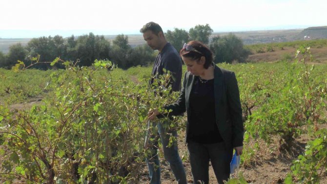 Selin Hasarı Gün Ağarınca Ortaya Çıktı