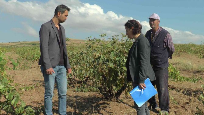 Selin Hasarı Gün Ağarınca Ortaya Çıktı