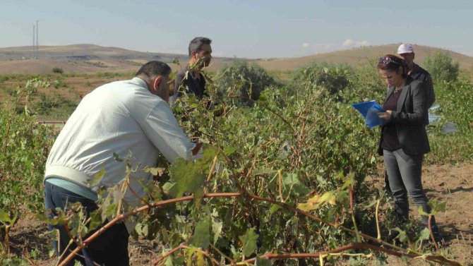 Selin Hasarı Gün Ağarınca Ortaya Çıktı