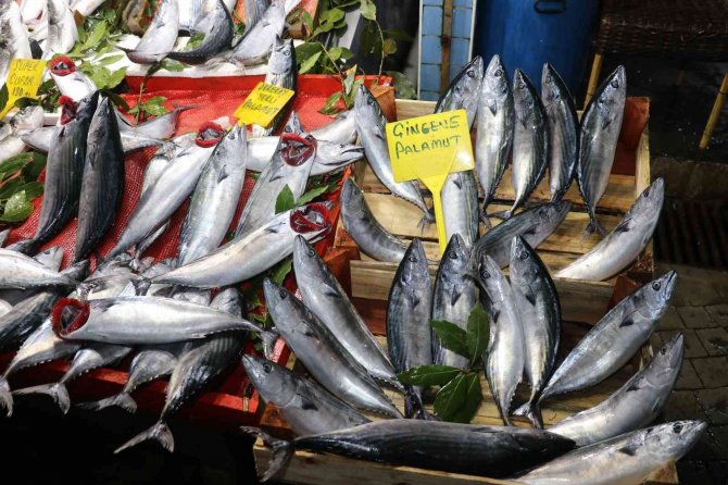 Boy Denetimine Takılan Balıkçılara 400 Bin Tl Ceza