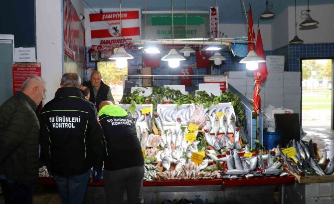 Boy Denetimine Takılan Balıkçılara 400 Bin Tl Ceza