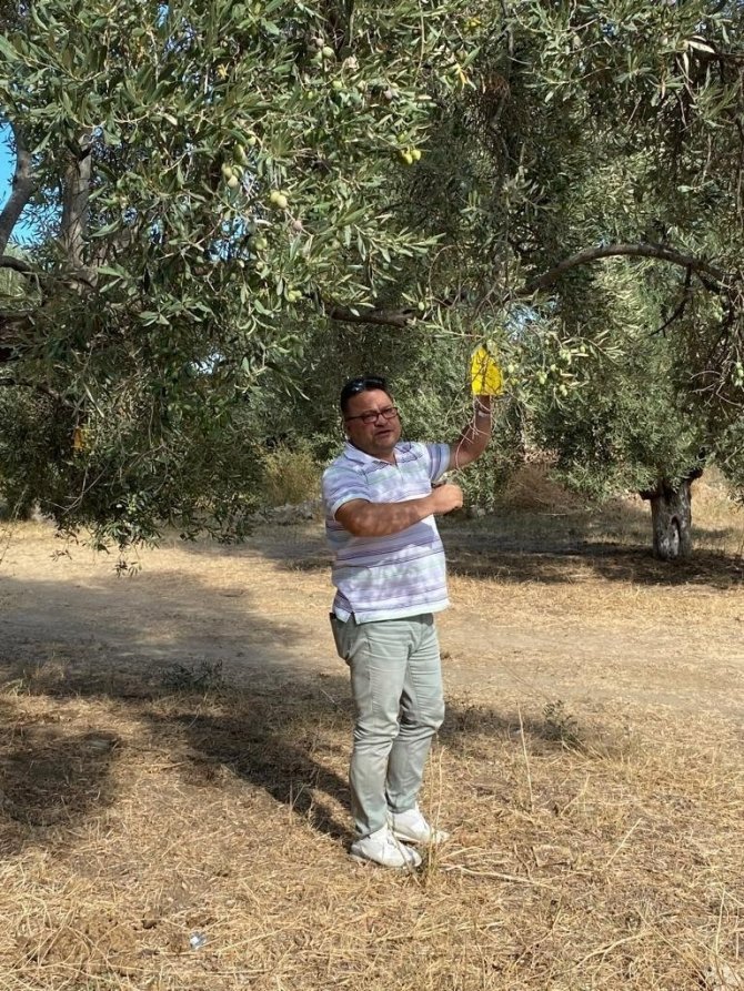 Efeler’de Zararlı Sinek Tuzakları Kontrol Edildi