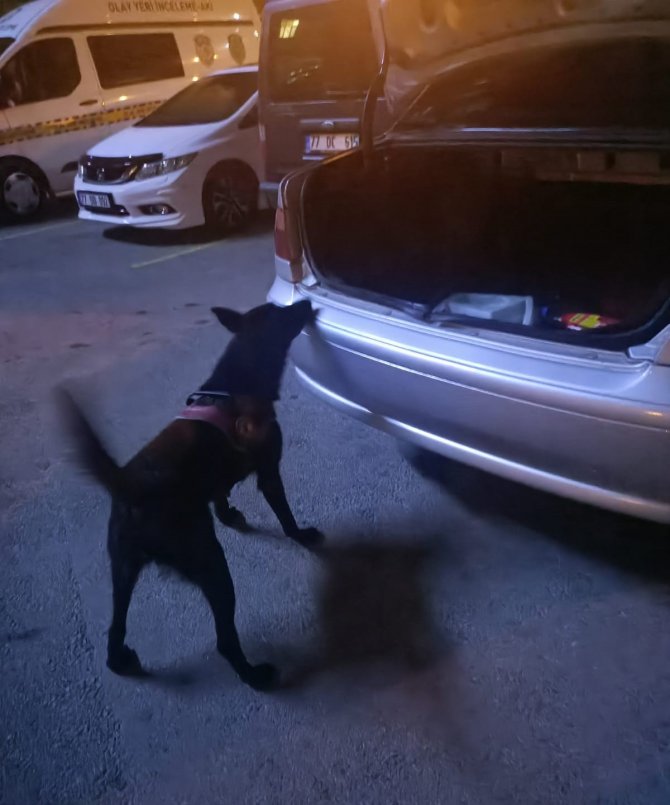 Yalova’da 2 Günde 11 Zehir Taciri Tutuklandı