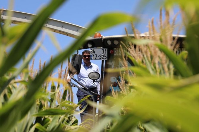 Atıl Alanlar Üretime Kazandırıldı, Çiftçiye Yem Desteği Oldu