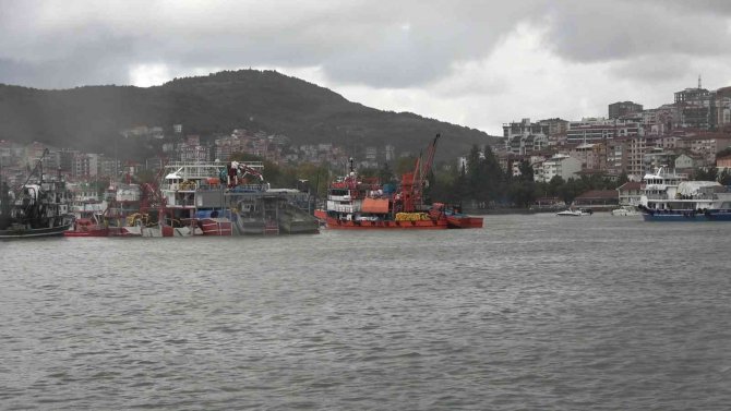 Karadeniz’de Palamut Dışında Balık Çıkmıyor