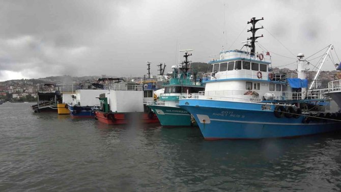 Karadeniz’de Palamut Dışında Balık Çıkmıyor