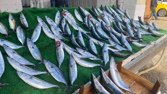 Olumsuz Deniz Koşulları Balığın Fiyatını Artırdı