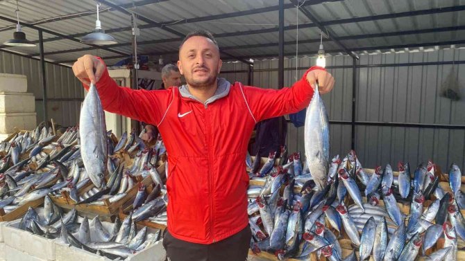 Olumsuz Deniz Koşulları Balığın Fiyatını Artırdı