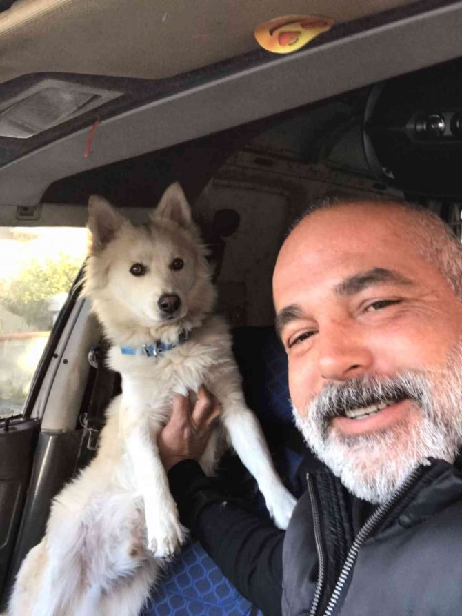 Köpeği Önce Çaldı, Sonra Zarar Verdi