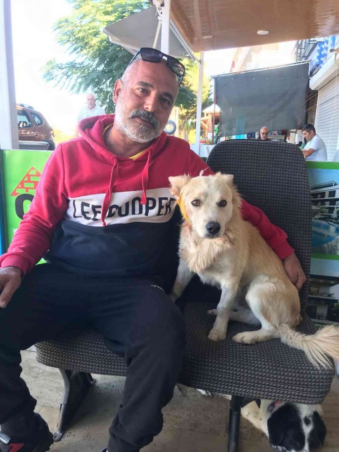 Köpeği Önce Çaldı, Sonra Zarar Verdi