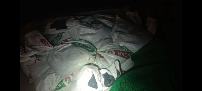 Ayvalık’ta “Denize Nefes” Operasyonunda Rekor Sayıda Deniz Patlıcanı Ele Geçirildi