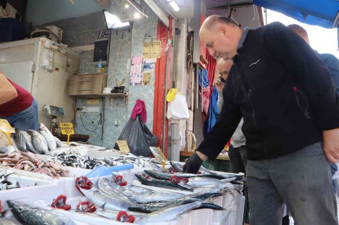 Karadeniz’de Palamut Zamanı