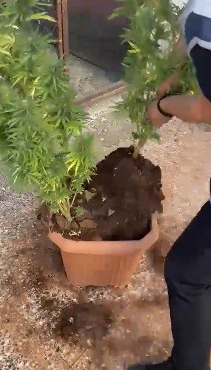 Saksıda Uyuşturucuya Polis Darbesi