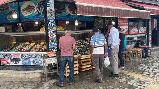 Tezgahlarda Palamut Bolluğu