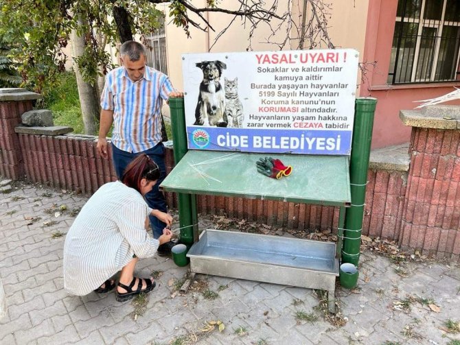Yabancı Gençler, Kastamonu’da Çevreyi Temizledi, Sokak Hayvanlarını Besledi