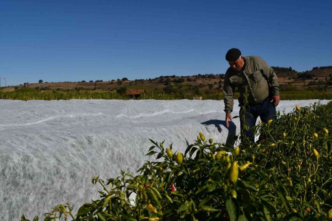 Üreticinin Kırağı Korkusu Naylon Gerdirdi