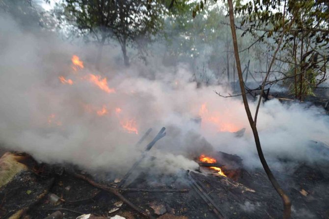 Yıldırımın Düştüğü Ağaçlık Alan Alev Alev Yandı