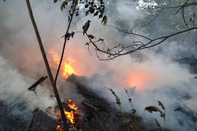 Yıldırımın Düştüğü Ağaçlık Alan Alev Alev Yandı