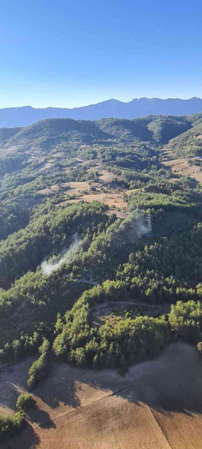 Adana’da Çifte Orman Yangını