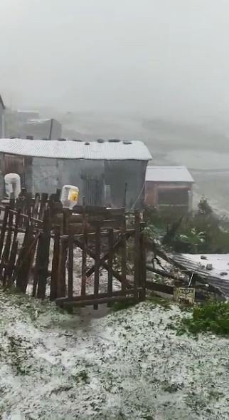 Artvin´in Yüksek Kesimlerinde Kar Yağışı Etkili Oldu