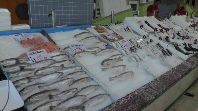 Palamut Fırtınası Kayseri’de De Esiyor