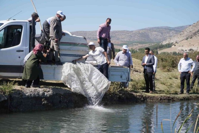 Çivril’de Tarla Balıkçılığı İçin İlk Adım Atıldı