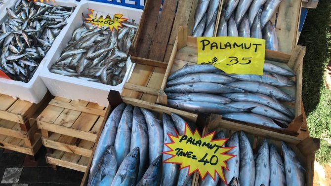 Akçakoca’da Balık Tezgahları Renklendi