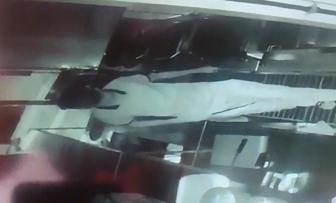 Tantuni Dükkanına Giren Hırsız, 2 Bin Lira Çaldı