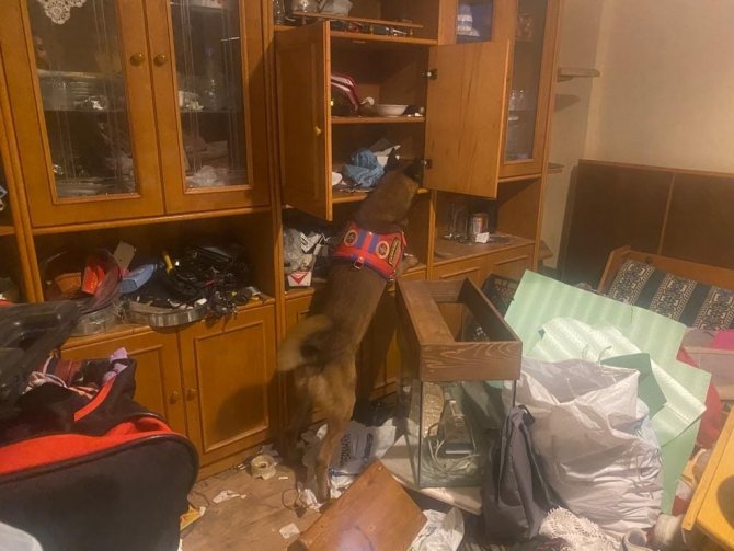 Jandarmadan Uyuşturucu Operasyonu