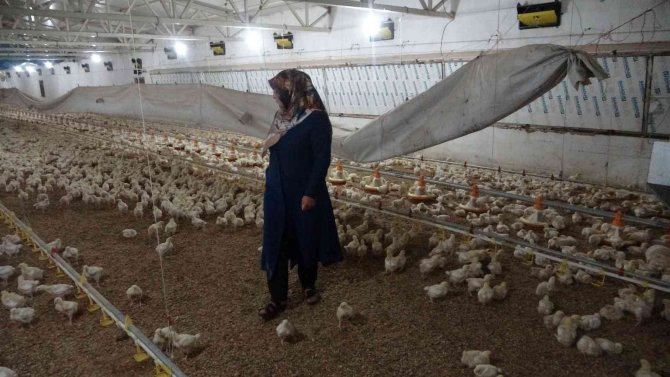 Ev Hanımıydı Kendi İşinin Patronu Oldu