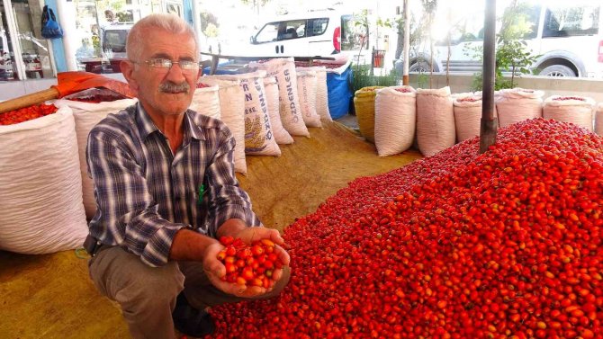 Dalından Sofraya Kuşburnunun Lezzet Yolculuğu
