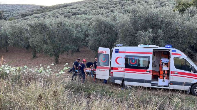 Bursa’da Otomobil İle Kamyon Çarpıştı: 6 Yaralı
