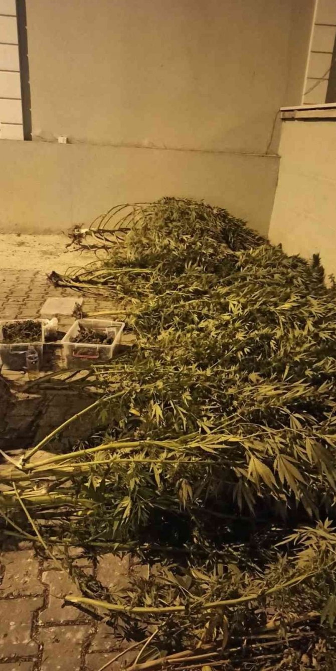 Bursa’da Uyuşturucu Operasyonu: 1 Gözaltı
