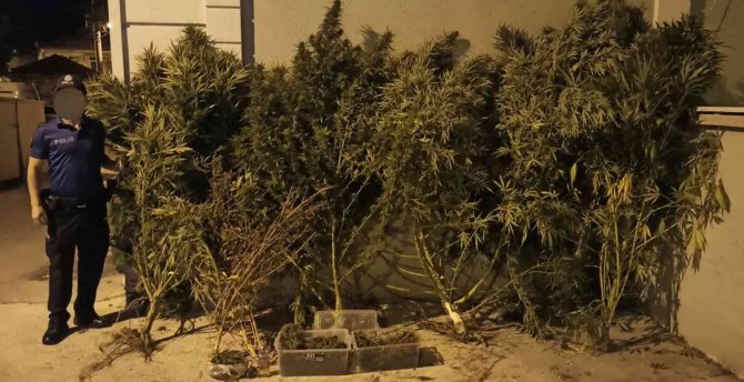 Bursa’da Uyuşturucu Operasyonu: 1 Gözaltı