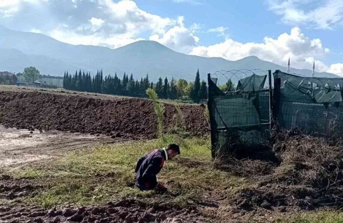 Çukura Düşen Yavru Köpek Kurtarıldı