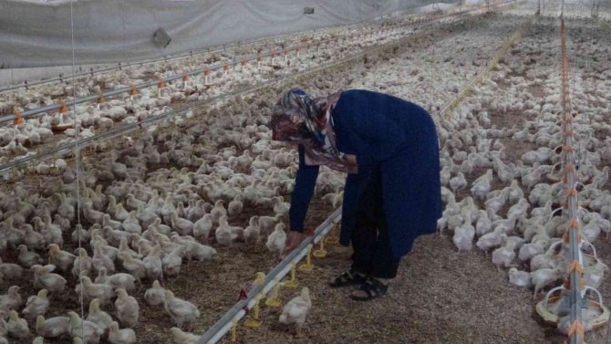 Ev Hanımıydı Kendi İşinin Patronu Oldu