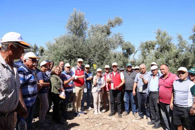 Muğla’da İyi Tarım Uygulamaları Çalışmaları Yapılıyor