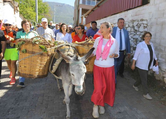 Gökçealan, Osmancık Üzümü İle Şenlendi